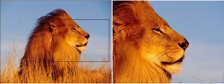 點擊查看原始大小圖片