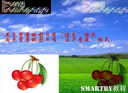 Photoshop摳圖完全攻略 Photoshop摳圖完全攻略