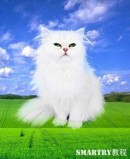 Photoshop摳圖完全攻略 Photoshop摳圖完全攻略