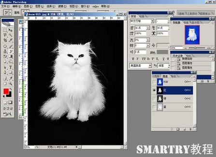 Photoshop摳圖完全攻略 Photoshop摳圖完全攻略