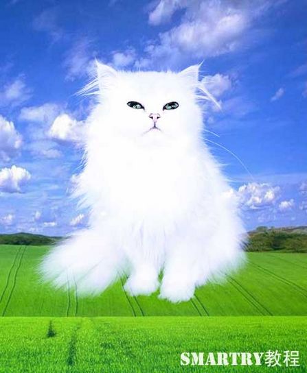 Photoshop摳圖完全攻略 Photoshop摳圖完全攻略