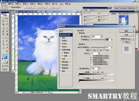 Photoshop摳圖完全攻略 Photoshop摳圖完全攻略