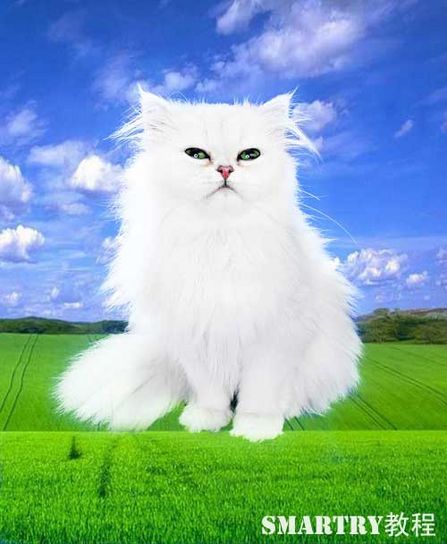 Photoshop摳圖完全攻略 Photoshop摳圖完全攻略