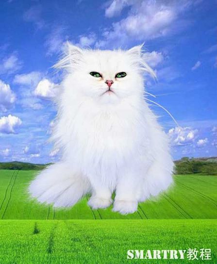 Photoshop摳圖完全攻略 Photoshop摳圖完全攻略