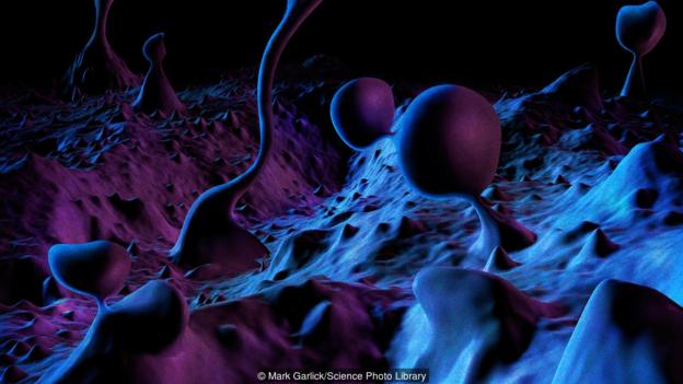 宇宙的運(yùn)作過程就像數(shù)學(xué)一樣。